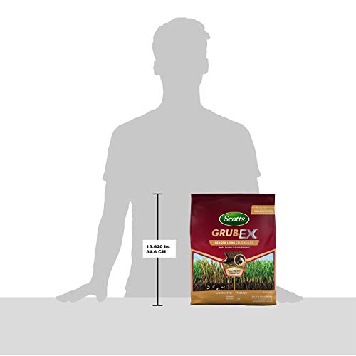 Scotts GrubEx1: Long-Lasting Grub Killer