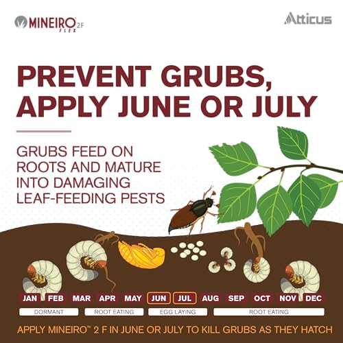 Mineiro 2F Imidacloprid Insecticide for Grubs & Insects