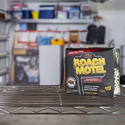 Black Flag Roach Motel Traps, 2ct, 1pk