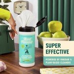 Eucalyptus Scented Biodegradable Vinegar Wipes, 35 Pack