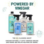 Eucalyptus Scented Biodegradable Vinegar Wipes, 35 Pack