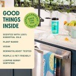 Eucalyptus Scented Biodegradable Vinegar Wipes, 35 Pack