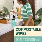 Eucalyptus Scented Biodegradable Vinegar Wipes, 35 Pack