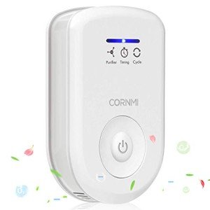 Mini Air Purifier and Deodorizer for Home