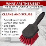 Heavy-Duty Kitchen Scrubber Brush for Dishes