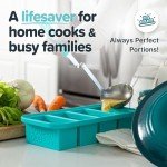 Aqua Silicone Freezer Molds - 2-Pack