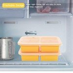 Silicone Freezer Trays with Lid - 2 Pack
