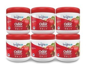 Bright Air Odor Eliminator - Fresh Apples & Spice