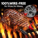 Aigerri Bluetooth Meat Thermometer for Grilling & Air Frying