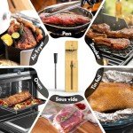 Aigerri Bluetooth Meat Thermometer for Grilling & Air Frying