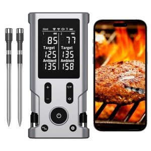 Bluetooth Meat Thermometer with Dual Probes, 800FT