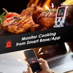 Bluetooth Meat Thermometer with Dual Probes, 800FT