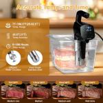 Sous Vide Cooker with Wi-Fi and 30 Recipes