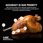 Bluetooth Meat Thermometer with Standalone Display