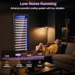 Velivi 24-Inch Wine Cooler for 154 Bottles