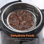 SICHEER Stainless Steel Dehydrator Rack for Air Fryers