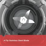 BLACK+DECKER 10-Speed Crush Master Blender, Black