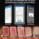 Smart Wireless Meat Thermometer with Bluetooth App Control