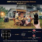 TempGrill Bluetooth Meat Thermometer with Dual Probes