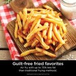 Ninja Mini Air Fryer, 2 Quart Capacity, Grey