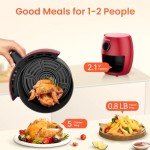 Compact 2.1QT Air Fryer with 4 Cooking Functions