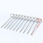 Leefasy 10 Pcs Stainless Steel Air Fryer Skewers