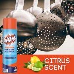 Heavy-Duty Oven & Grill Cleaner Spray, 19-Ounce