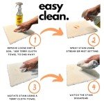 Plant-Based Stain Remover Spray - 32 OZ