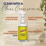 Plant-Based Stain Remover Spray - 32 OZ
