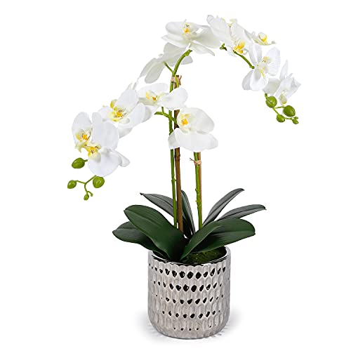White Orchid Artificial Plant for Home Décor