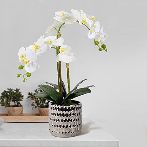 White Orchid Artificial Plant for Home Décor