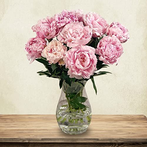 Pink Peony Bouquet for Special Occasions