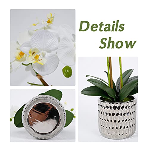 White Orchid Artificial Plant for Home Décor