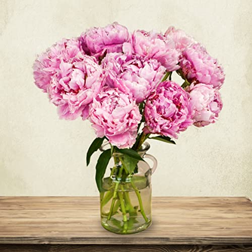 Pink Peony Bouquet for Special Occasions
