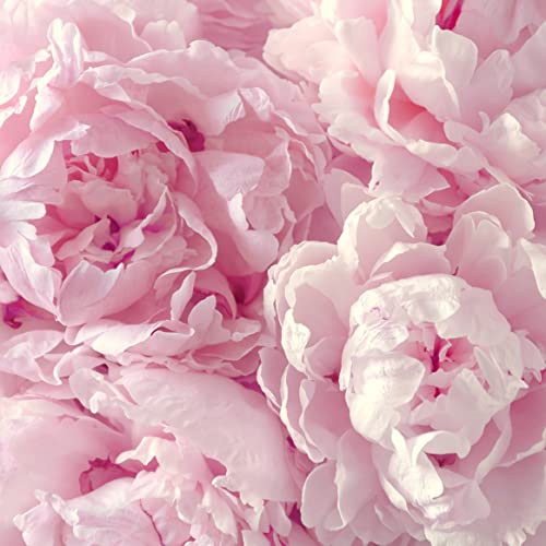 Pink Peony Bouquet for Special Occasions