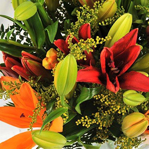 Asiatic Lily Luxury Gift Bouquet with Card