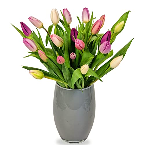 Fresh Tulip Bouquet - Perfect for Gifting