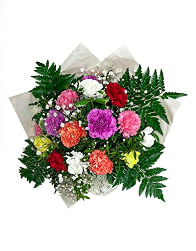 SPRING - Fresh Flower Delivery - Gift For Her, Gift For Him, Thank You, Birthday, Mother's Day, Father's Day, Congratulations - Get Well Soon - Fresh Bouquet, Flower Delivery Next Day Prime