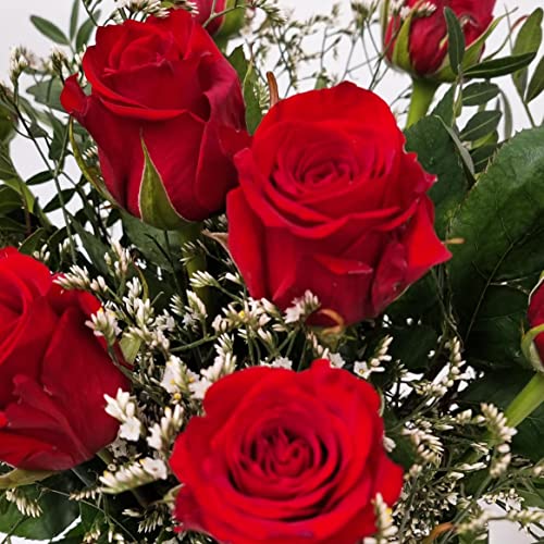 Fresh Red Roses Bouquet - Perfect Gift Idea