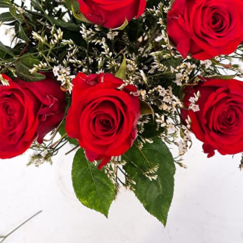 Fresh Red Roses Bouquet - Perfect Gift Idea