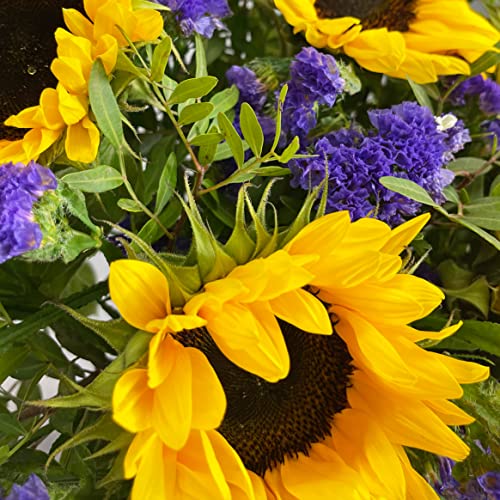 Summer Sunflower Bouquet for All Occasions
