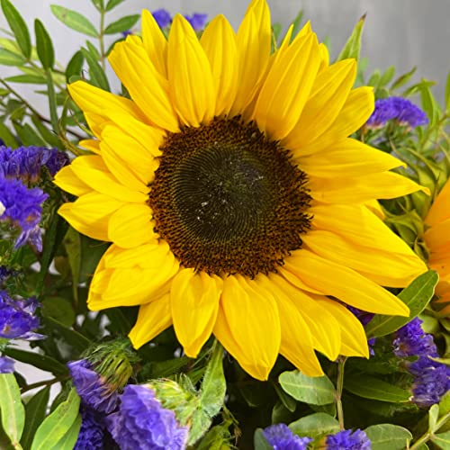 Summer Sunflower Bouquet for All Occasions