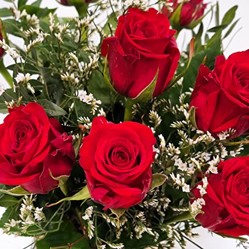 Fresh Red Roses Bouquet - Perfect Gift Idea