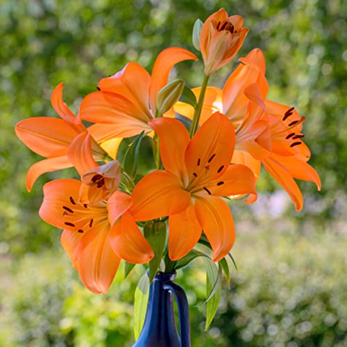 Orange Lily Bouquet - Perfect Gift for Any Occasion