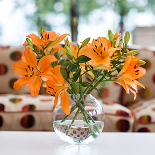 Orange Lily Bouquet - Perfect Gift for Any Occasion