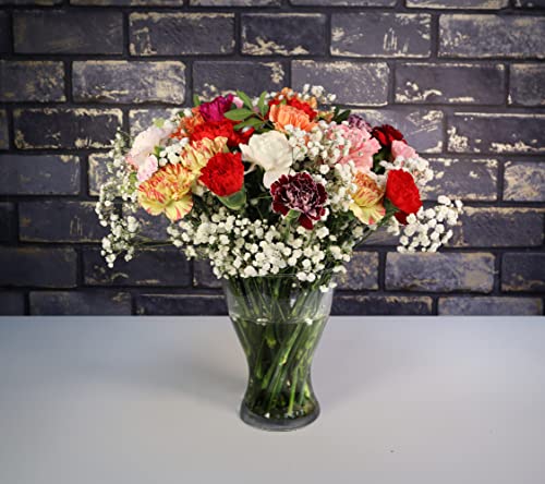 Fresh Spring Flowers for Any Occasion