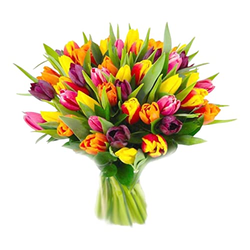 Next Day Tulip Bouquet Delivery