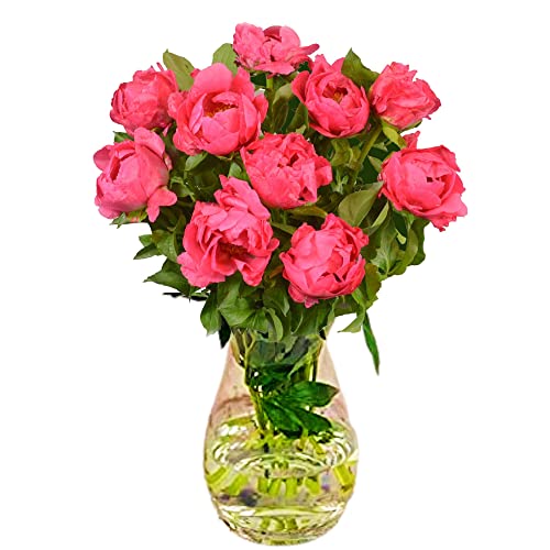 Dark Pink Peony Bouquet - Perfect for Occasions