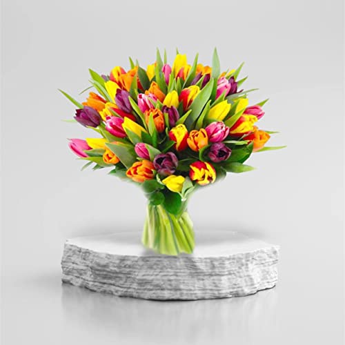 Next Day Tulip Bouquet Delivery