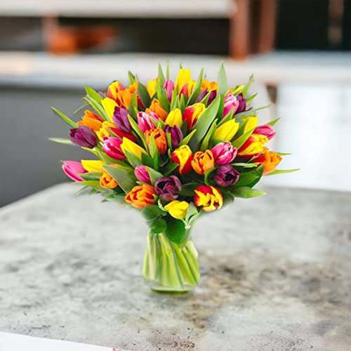 Next Day Tulip Bouquet Delivery